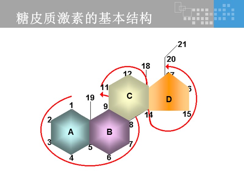 氟轻松是如何发挥其药理作用的？